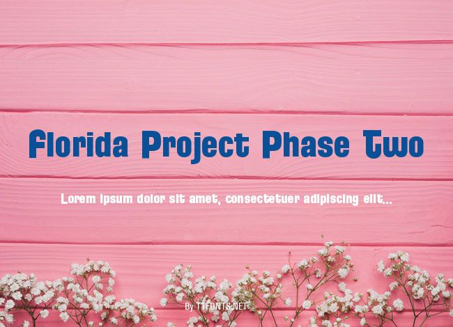 Florida Project Phase Two example